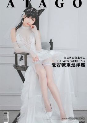 电视剧免费全集在线观看免费_DVD高清视频观看